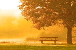 Mindfulness Y Sus Beneficios
